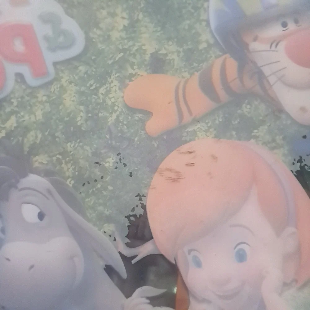 Disney Placemats set 4 My friends Tigger and Pooh mealtime fun shaped‎ Lion King
